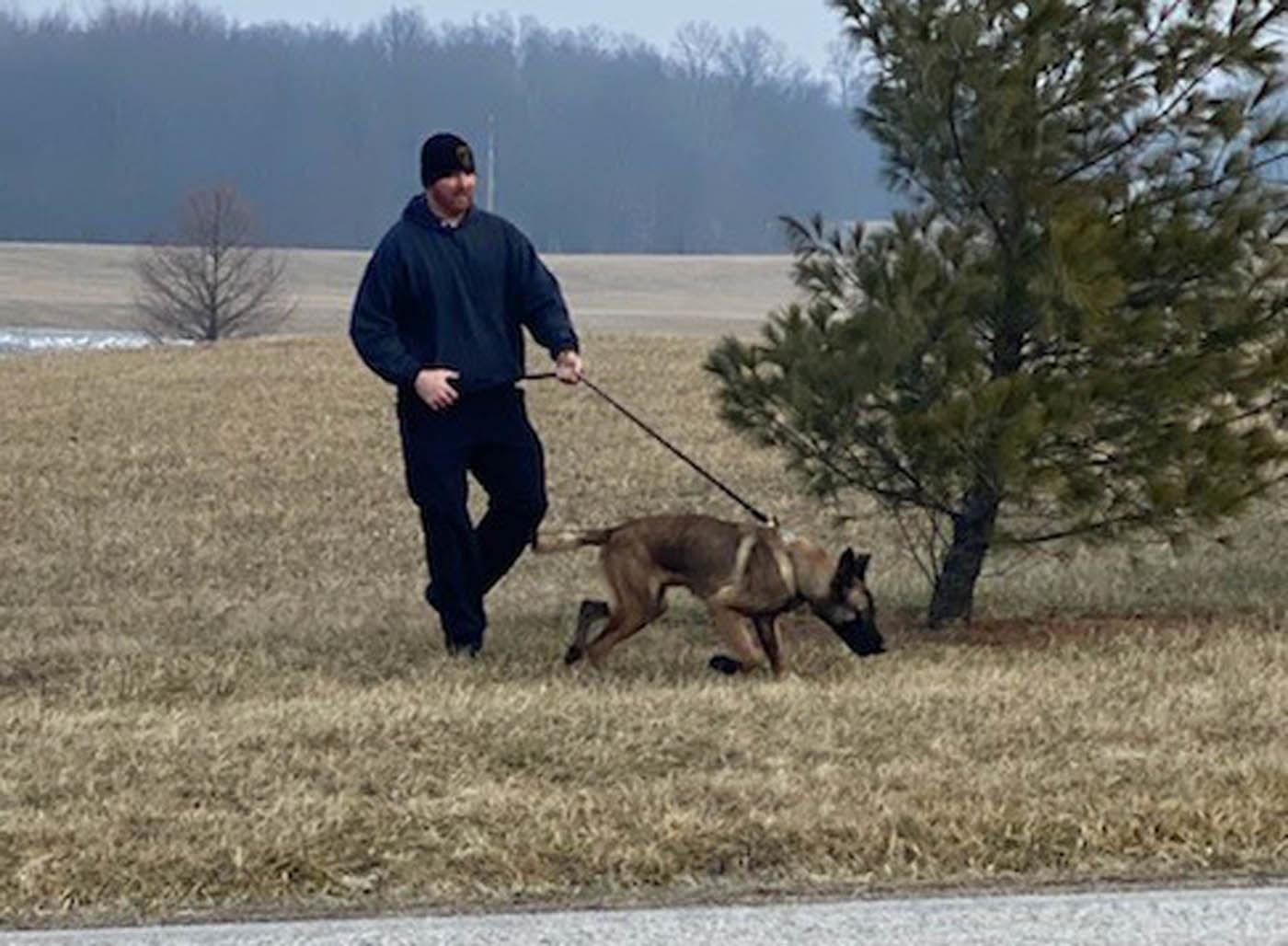 Four-legged MCPD officer in training